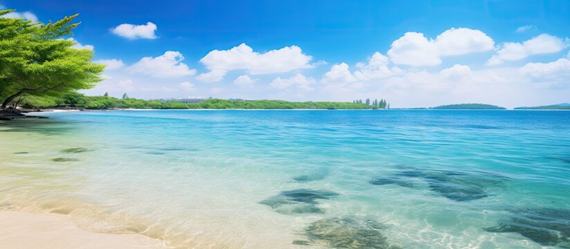 Tropical lagoon beach paradise landscape full of lush green vegetation and clear blue waters full of healthy coral in Okinawa Japan. Creative Banner. Copyspace image