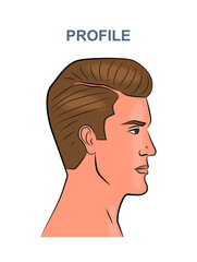 Man face avatar concept. Young guy with inscription profile. Avatar for social networks. Model posing. Poster or banner. Simple flat vector illustration isolated on white background