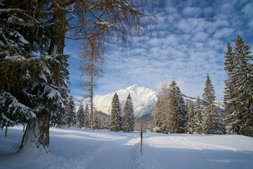 Winter hiking trail in a snow-covered landscape in Pertisau at Lake Achensee.