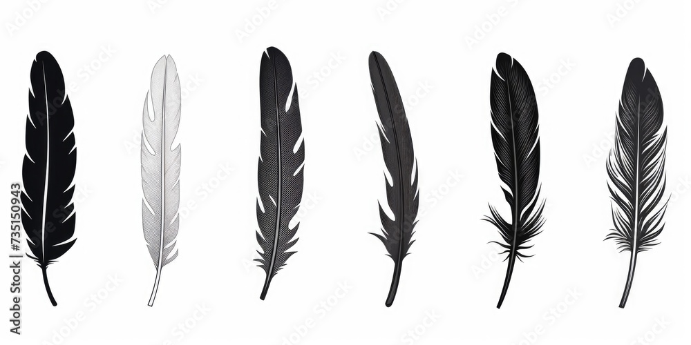Poster Four different colored feathers arranged together. Can be used for various creative projects