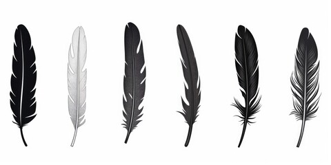 Four different colored feathers arranged together. Can be used for various creative projects