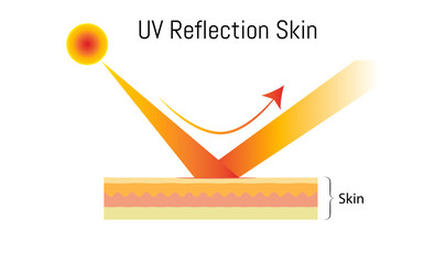 UV reflection skin after protection,illustration of skin damage from the sun and protection UV filter, after sun protection body adipose layers epidermis recent vector infographic, isolated, hrizontal - obrazy, fototapety, plakaty