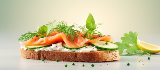Tasty bruschetta with salmon Salmon toast with cream cheese arugula and cucumber cube. Creative Banner. Copyspace image