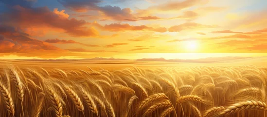 Poster Wheat field Ears of golden wheat close up Beautiful Nature Sunset Landscape Rural Scenery under Shining Sunlight Background of ripening ears of wheat field Rich harvest Concept Label art design © HN Works