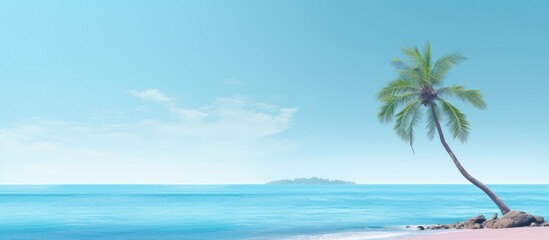 Fototapeta na wymiar minimalistic landscape with lonely palm tree on the sea shore. Creative Banner. Copyspace image