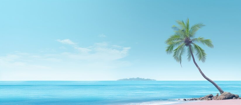 minimalistic landscape with lonely palm tree on the sea shore. Creative Banner. Copyspace image