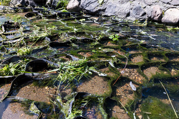 water flowing in a small narrow stream in summer