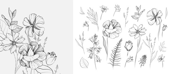 Set of detailed black and white drawing various flowers and leaves. Luxury floral collection for wedding invitation, wallpaper art or save the date card