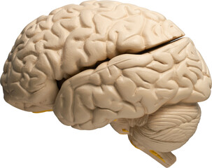 LAYER-LAB_0403198607_LC