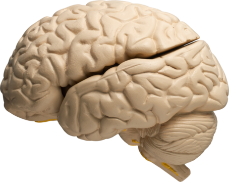 LAYER-LAB_0403198607_LC