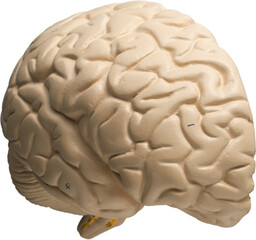 LAYER-LAB_0403198655_LC