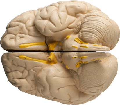 LAYER-LAB_0403198671_LC