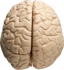 LAYER-LAB_0403198683_LC