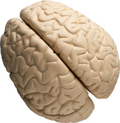 LAYER-LAB_0403198695_LC