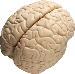 LAYER-LAB_0403198707_LC