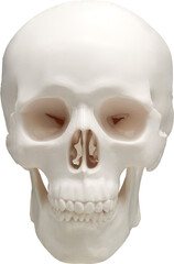 LAYER-LAB_1008219196_LC