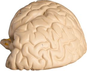 LAYER-LAB_1203199682F_LC