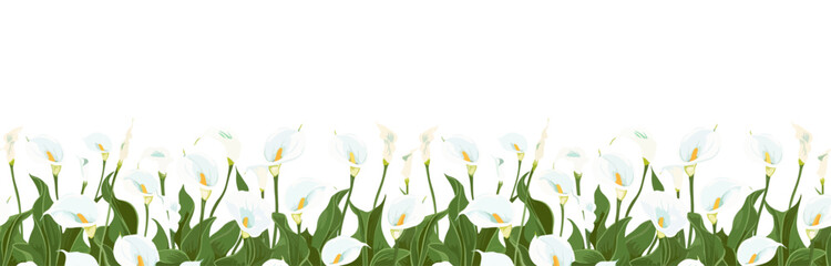 illustration of cala lily as a bottom border pattern tile. seamless vector. - obrazy, fototapety, plakaty