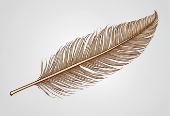 Bohemian Decorative Feather Vector Illustration