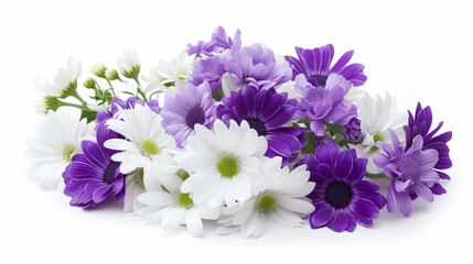 White and lilac flowers on isolated white background