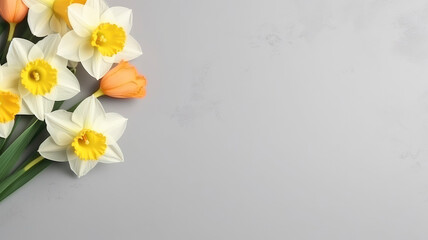 Spring composition of flowers daffodil bouquet, top view with space for copy space white background