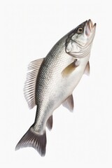 Fototapeta premium A fish caught mid-air as it jumps out of the water. Perfect for illustrating motion and capturing the beauty of nature.