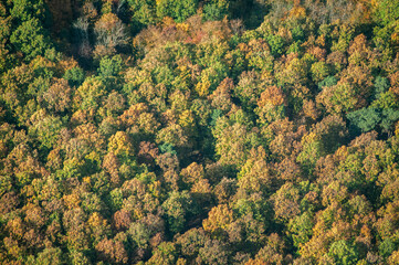 vue a&eacute;rienne de for&ecirc;t &agrave; l'automne dans les Yvelines en France