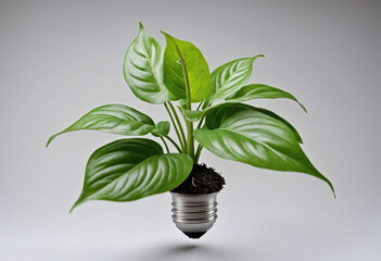 Fototapeta na wymiar Eco-friendly Solutions for a Greener Future