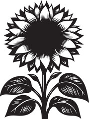 black and white sunflower vector illustration 