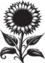 black and white sunflower vector illustration 