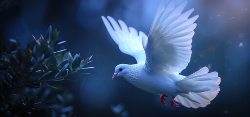 A white dove flying through the air with its wings spread. Can be used to symbolize peace, freedom, and spirituality