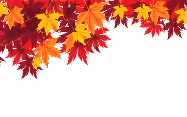 Autumn Red Leaves Sunset Background Leaf Fall Banner
