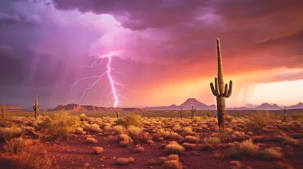 Fotobehang view of sunset and lightning in the desert © kucret