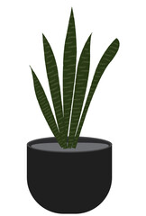 Indoor plant image vector, green vector plant image