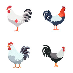 set of chicken roosters and hens  vector illustration isolated transparent background logo, cut out or cutout t-shirt design
