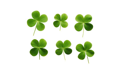 Naklejka premium St. Patrick's day, clovers isolated on white background. png
