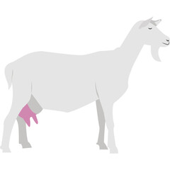 Obraz na płótnie Canvas Goat farm animal vector icon isolated on white