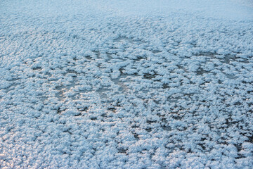 The frozen surface of a reservoir covered with grown crystalline hoarfrost