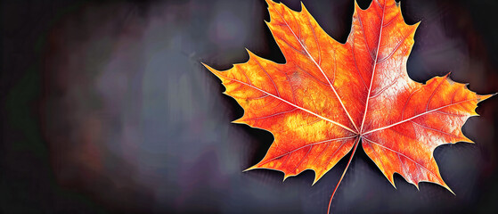 Autumn leaves in vibrant colors, creating a beautiful and natural tapestry that celebrates the seasonal change and the beauty of fall