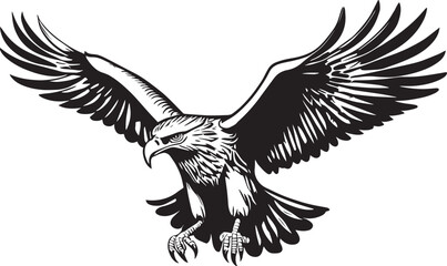 Flying Eagle Illustration