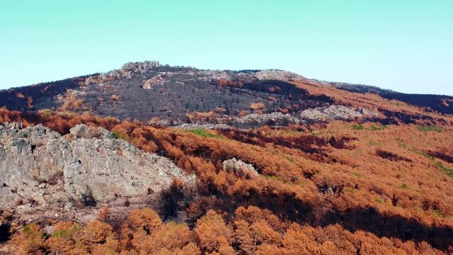 Sierra de la Culebra (Zamora) Tras la cat&aacute;strofe "Quemada"