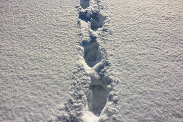 Traces of human feet on deep loose snow