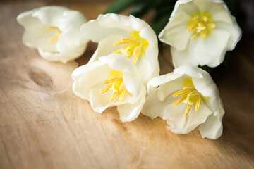 Fototapeta na wymiar Bouquet of white tulips on wooden background. Easter or Mother's Day greeting card