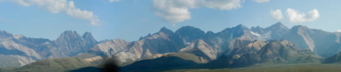 Cercles muraux Denali Denali National Park - Alaska