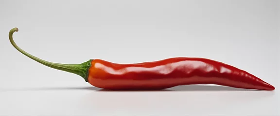 Foto op Plexiglas A hot chili pepper isolated on white background - Generative AI © SR07XC3
