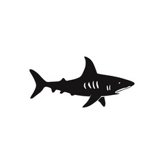 Obraz premium shark vector silhouette