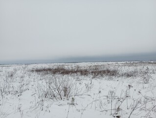A spacious grass meadow in the middle of a cold winter. Here and there, stalks of dry grass can be seen above the snow. A snowy winter field all the way to the horizon