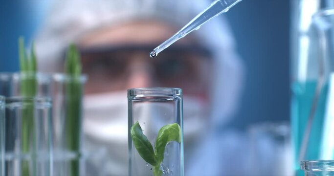 Super slow motion close up of scientist is dripping fertilizers with pipette in test tubes with plants during environmental study and ecology analysis of experimental data research in laboratory.