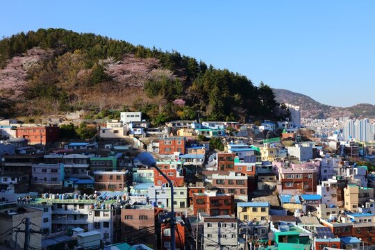 Busan photo, South Korea