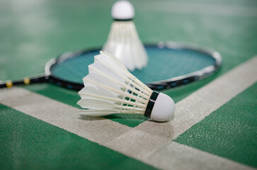 Badminton rackets and white cream badminton shuttlecocks after playing or after games on green...